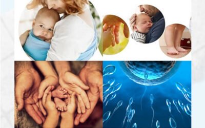 LEGITIMAR AL PROFESIONAL PSICOPERINATAL
