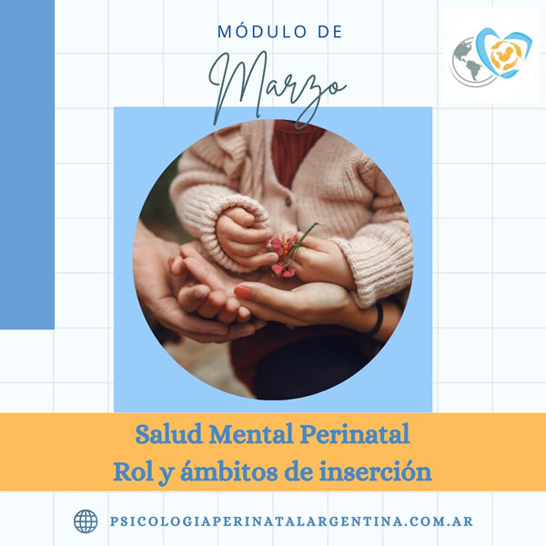 rol del profesional de salud mental perinatal
